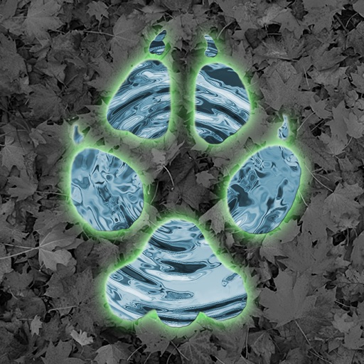 Critter Trax - Animal Tracks