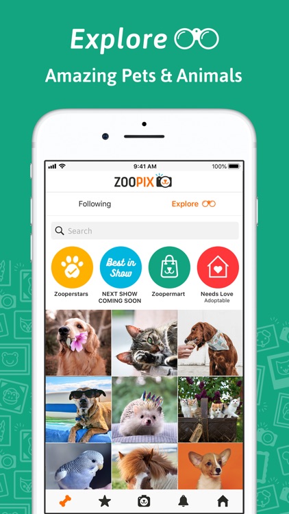 ZooPix: Where Cute Pets Rule screenshot-7