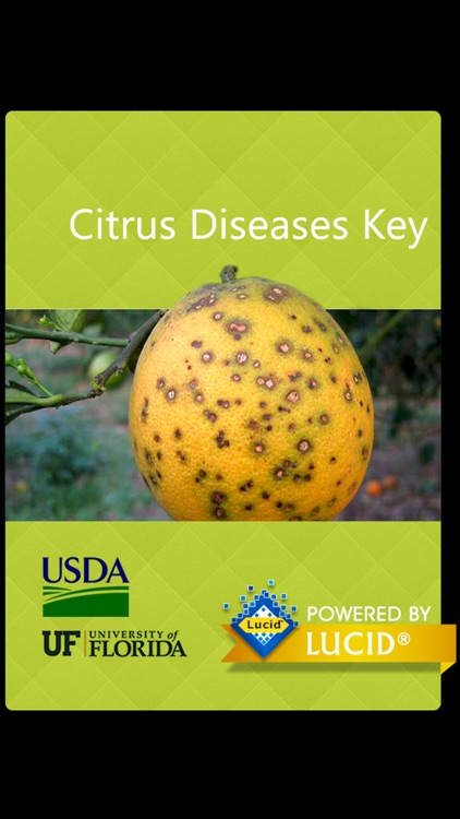 Citrus Diseases Key