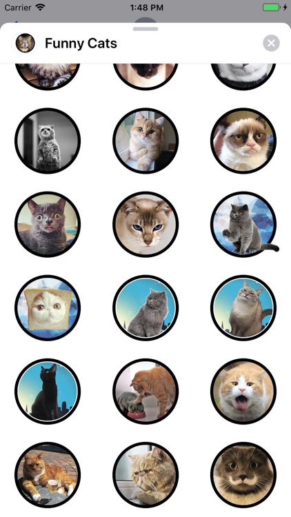 Funny Cats Sticker Pack