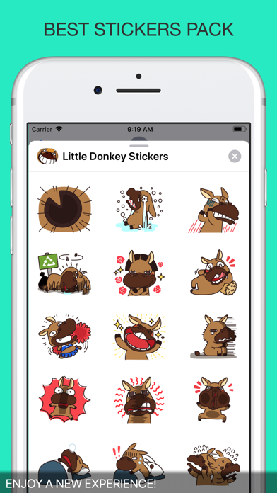 Little Donkey Stickers screenshot 4