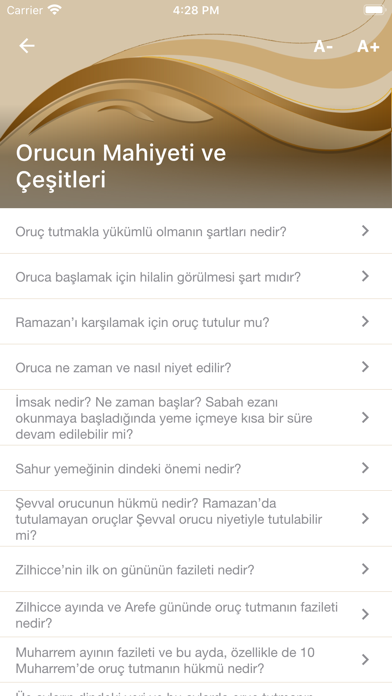 Diyanet Fetva screenshot 4