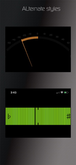 Chroma Tuner & Metronome(圖6)-速報App