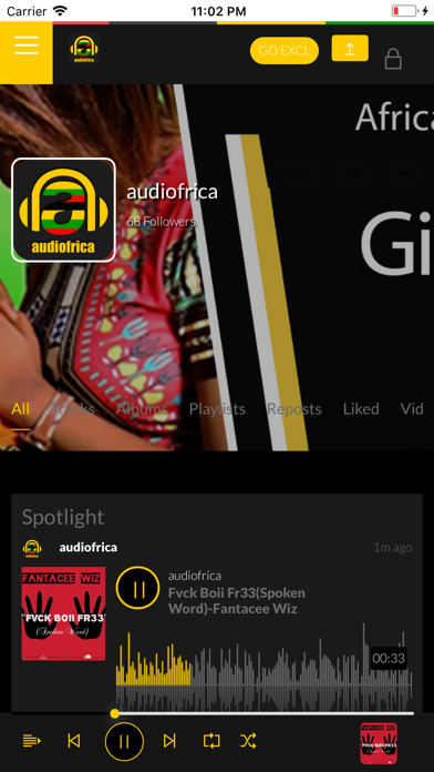 Audiofrica Artist screenshot 2