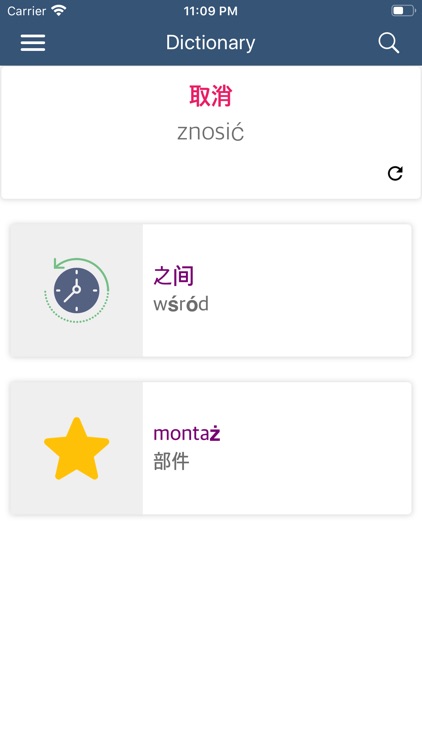 Chinese Polish Dictionary screenshot-6