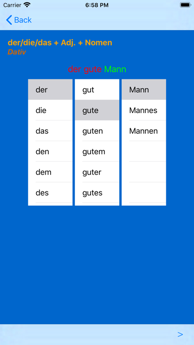German Adjective Endings screenshot 3