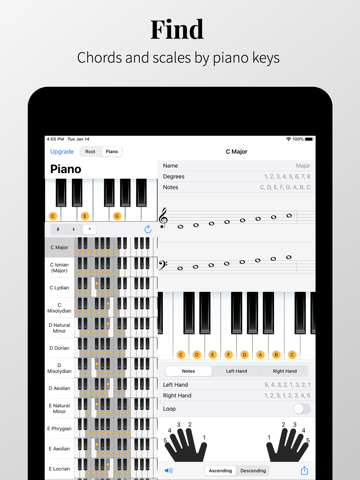 Piano Chords and Scales screenshot 2