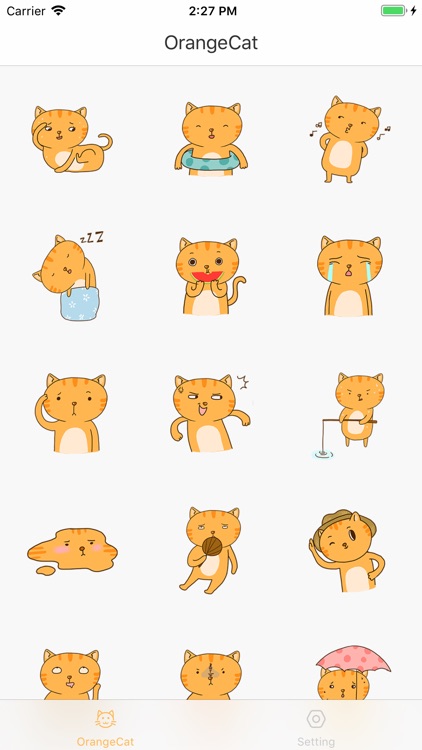 Orange Cat-Summer