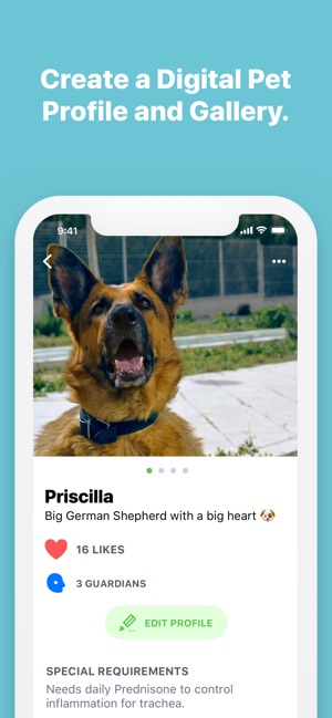 Pawscout Pet Community(圖4)-速報App