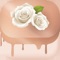 Join thousands of professional bakers and design beautiful wedding cakes that will impress your clients using the most sophisticated cake decorating app available