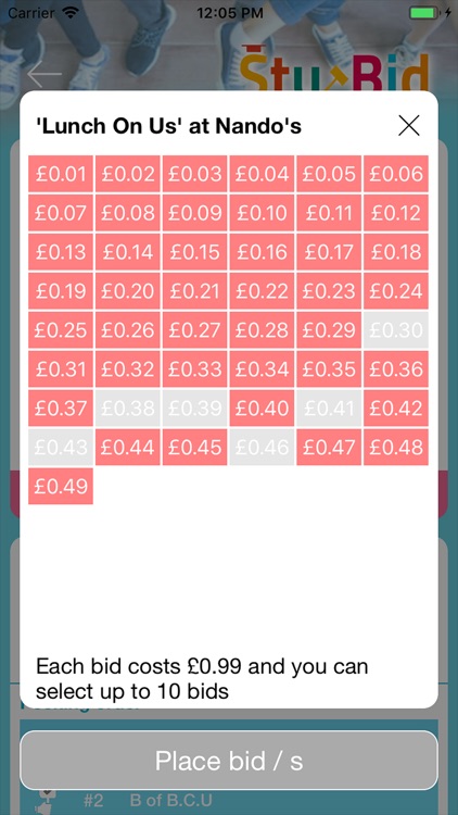 Stu Bid screenshot-4