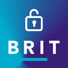 Brit's Cyber Response