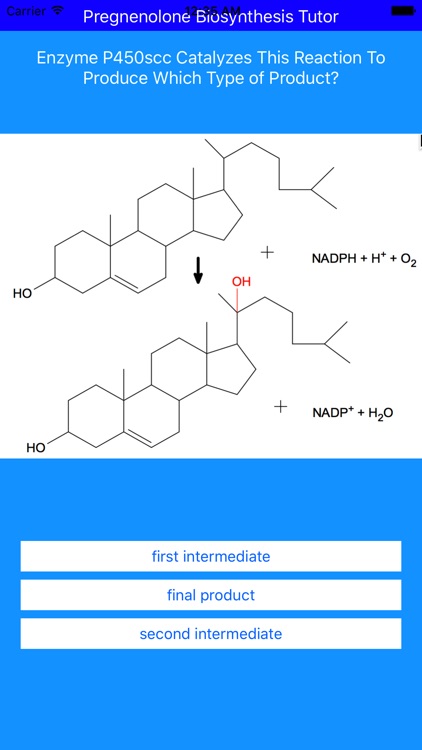 Pregnenolone Synthesis Tutor