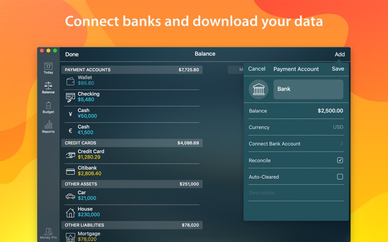 Money Pro Screenshot
