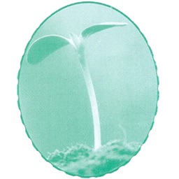 Mubaraka English High School