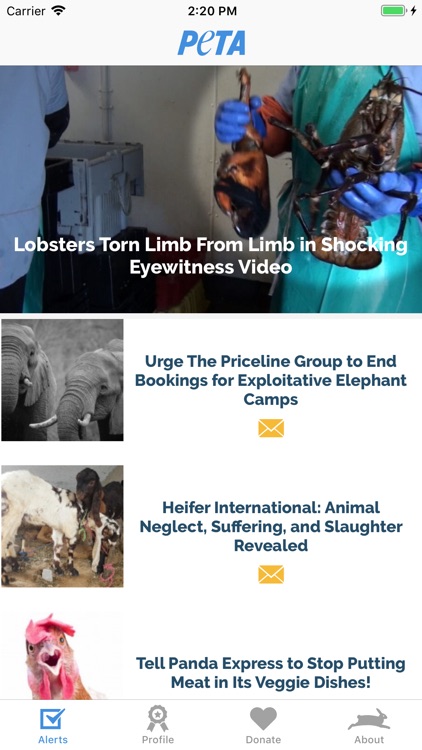 PETA: Saving Animals Made Easy