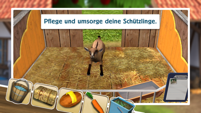 Tierheim Spiele Kostenlos Tierheim Spiele Kostenlos