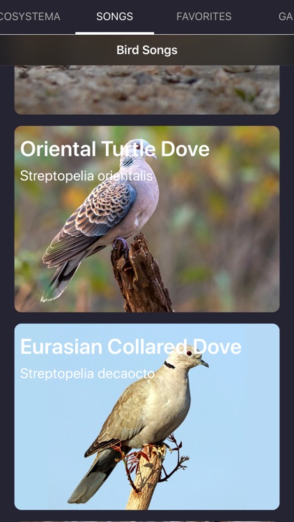 Bird Sounds and Bird Calls screenshot-7