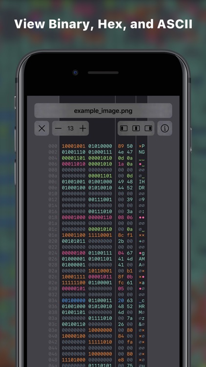 Hexer — Hex File Viewer