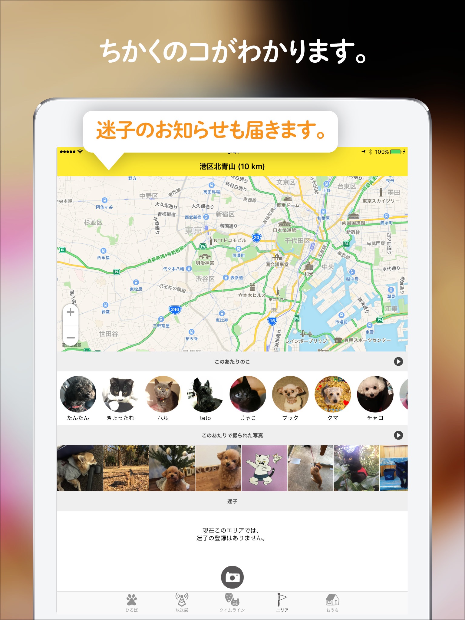 Dokonoko - Dogs&Cats Photo App screenshot 4