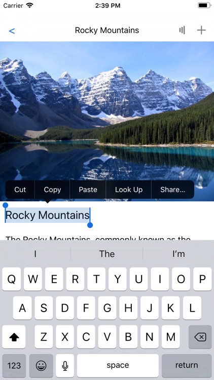 TextEditor-Pro