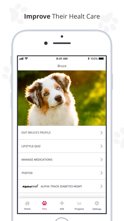 PetDialog