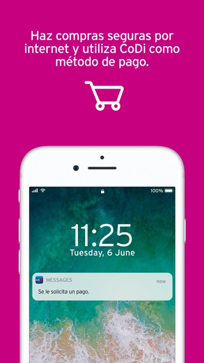 Citibanamex Móvil