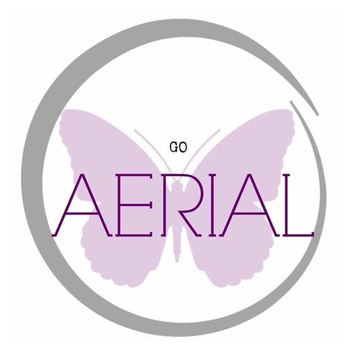 Go Aerial Fitness