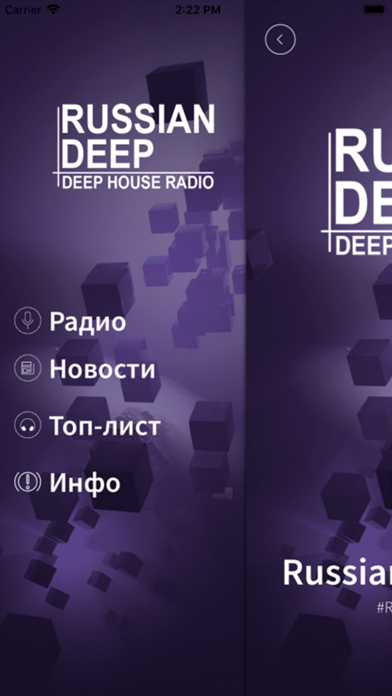 Russian Deep Radio screenshot 2