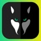 With WOLFY App you can read exciting and thrilling chat stories FOR FREE