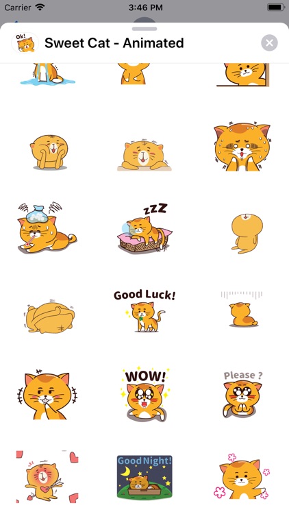 Sweet Cat - Animated screenshot-4