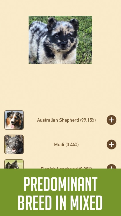 DogSnap - Dog Breed Identifier screenshot-4