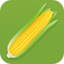 Cornfragrance