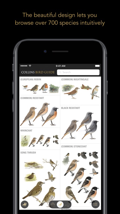 the-best-bird-identification-apps