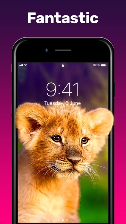 Live Wallpaper & Wallpapers HD screenshot-0