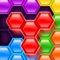 Icon Hexa Blocks Match Puzzle