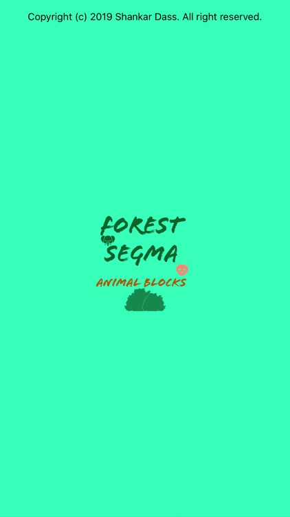 Forest Segma - Animal Blocks