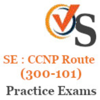 SE : CCNP Route Practice Exams