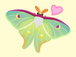 Cute insect moth and beetle