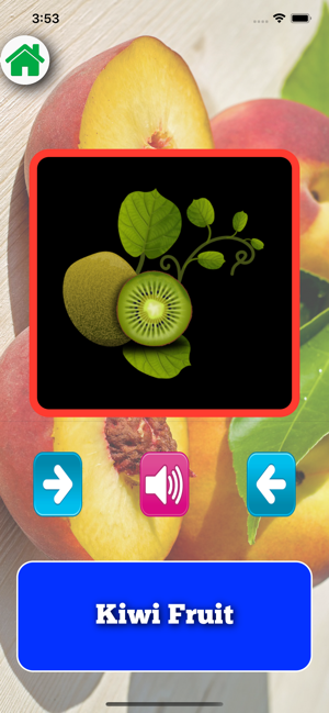 Food Flash Cards Quiz(圖3)-速報App