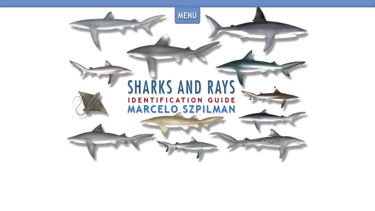 Sharks & Rays - ID Guide