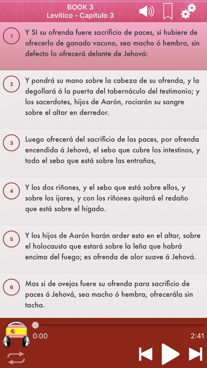 Spanish Holy Bible Audio mp3 screenshot-3