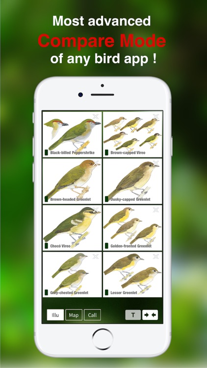 All Birds Colombia field guide screenshot-6
