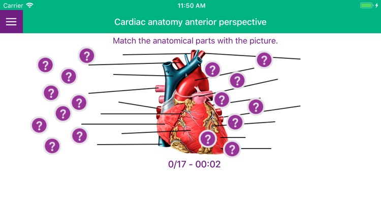 Cardiac Surgery Basics