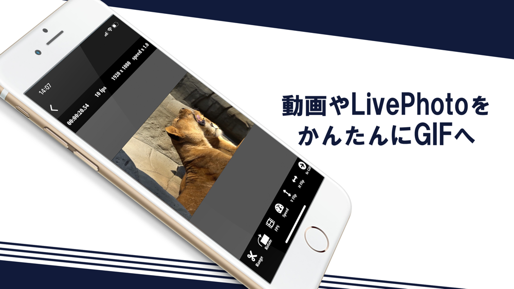Easy Gif 動画やlivephotoをgifに変換 Free Download App For Iphone Steprimo Com