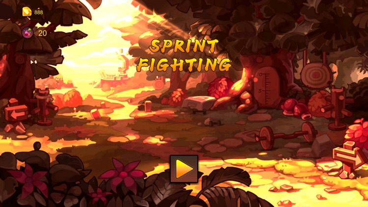 Sprint Fighting