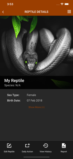 My Reptiles