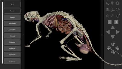 How to cancel & delete 3D Rat Anatomy from iphone & ipad 2