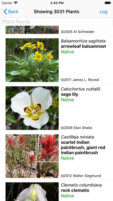 Colorado Wildflower Search screenshot 2
