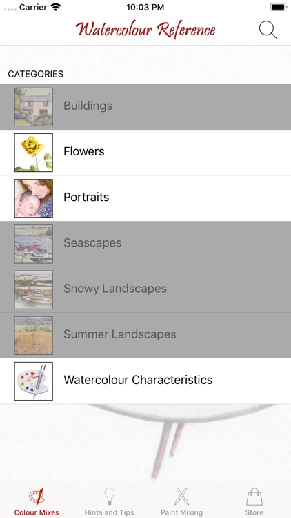 Watercolour Reference screenshot-0
